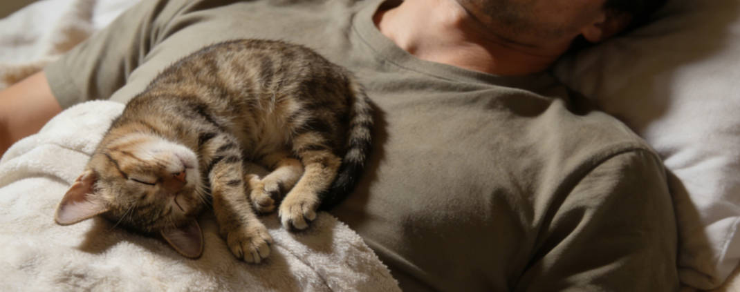 A cat sleeping on your chest feels cozy and warm.